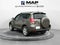 2012 Toyota RAV4 FWD 4dr I4 (Natl)