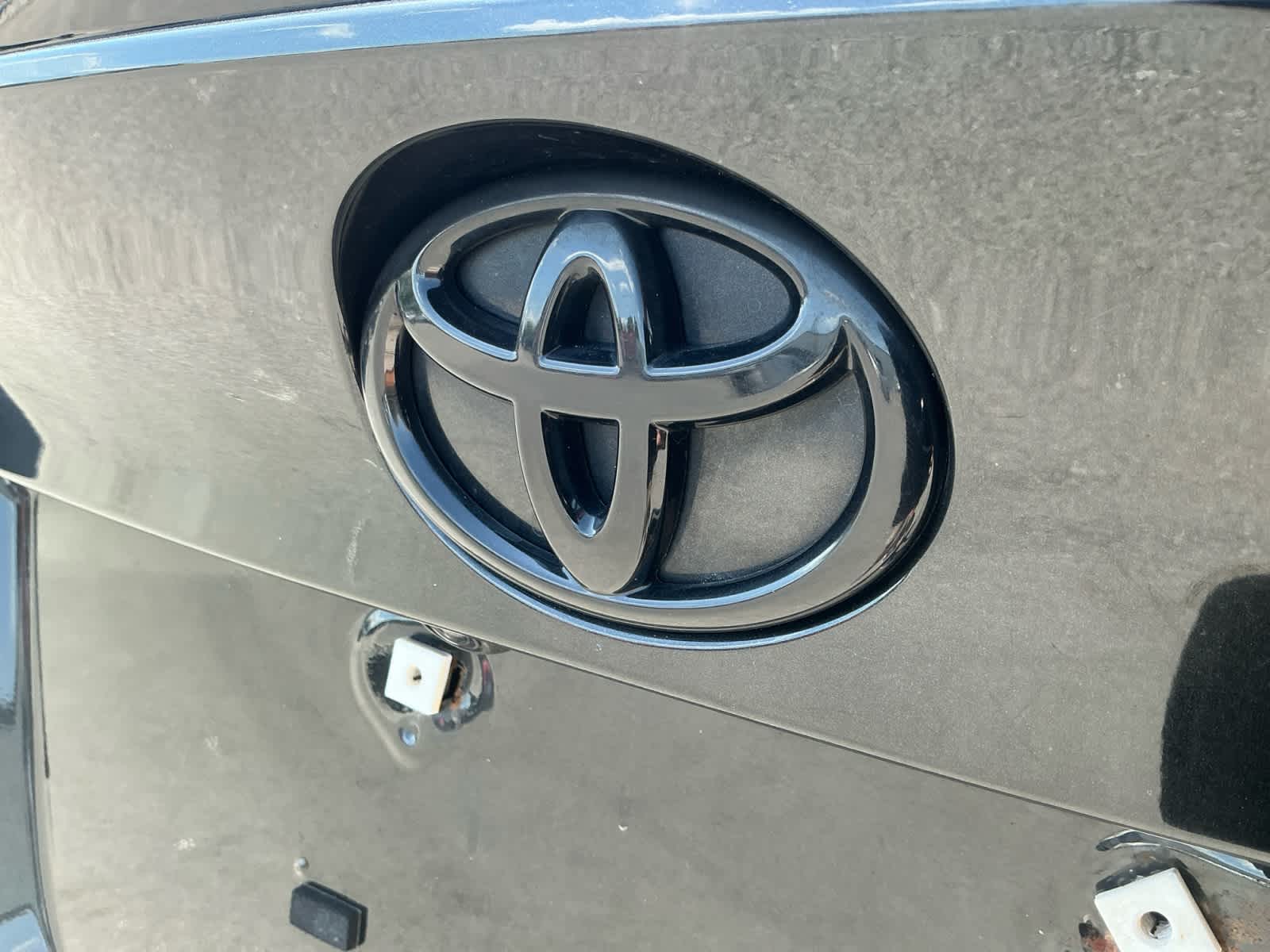 2021 Toyota C-HR Nightshade Edition