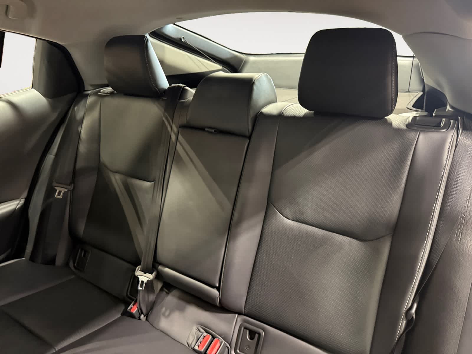 2025 Toyota Prius XLE