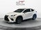 2020 Lexus NX 300 F SPORT
