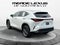 2025 Lexus NX 350 