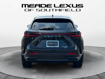 2024 Lexus NX 350 