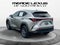 2024 Lexus NX 350 