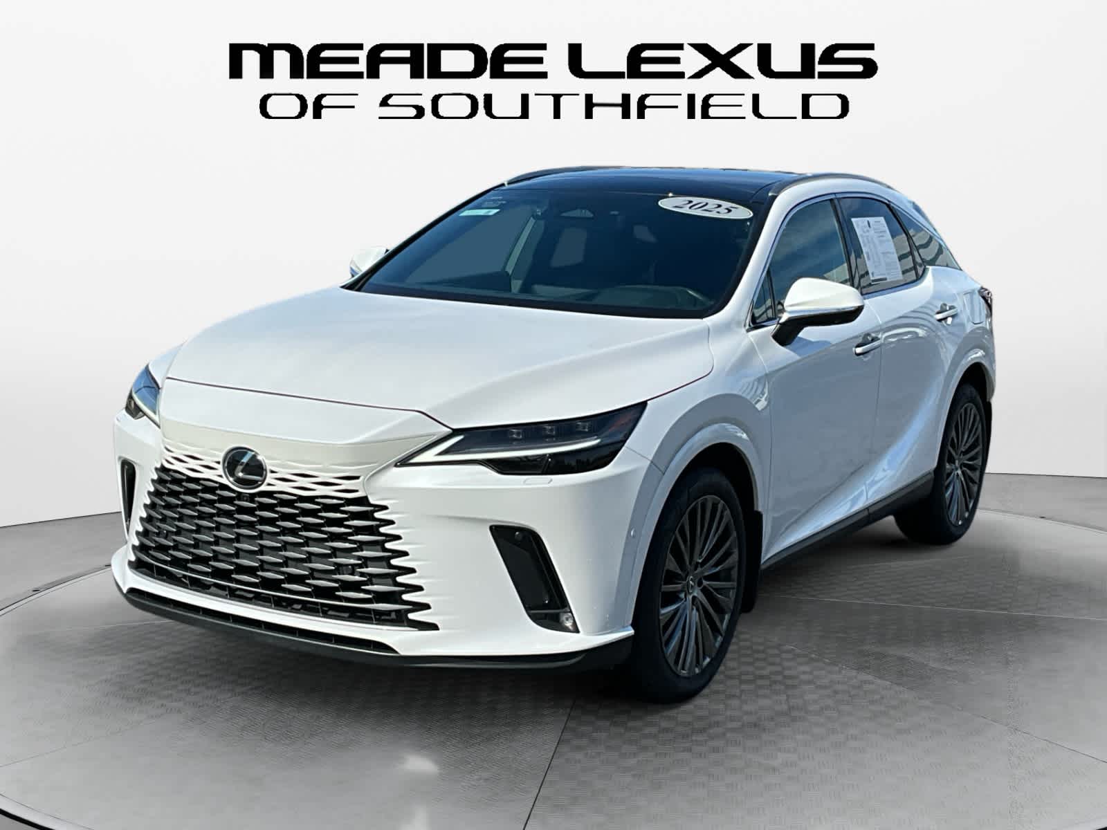 2025 Lexus RX Luxury