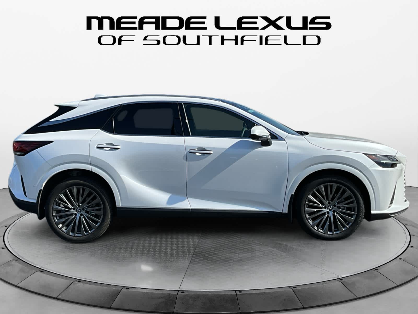 2025 Lexus RX Luxury