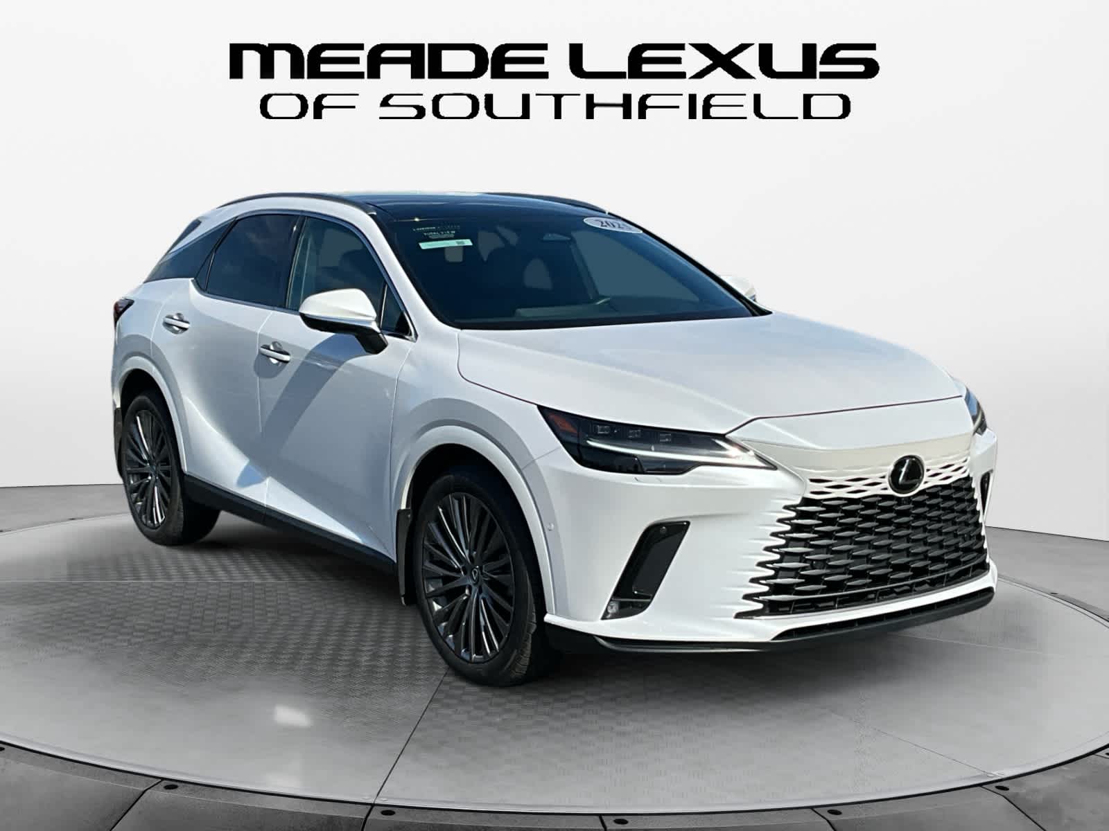 2025 Lexus RX Luxury