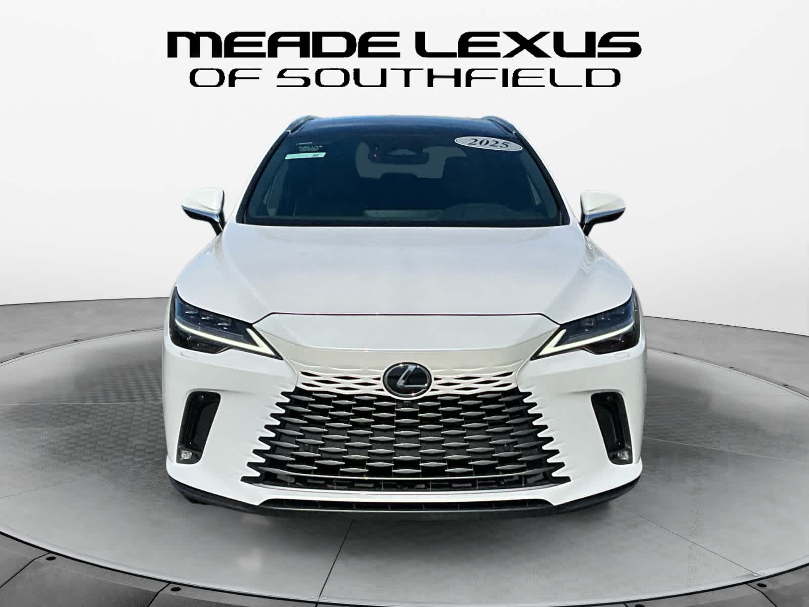 2025 Lexus RX Luxury