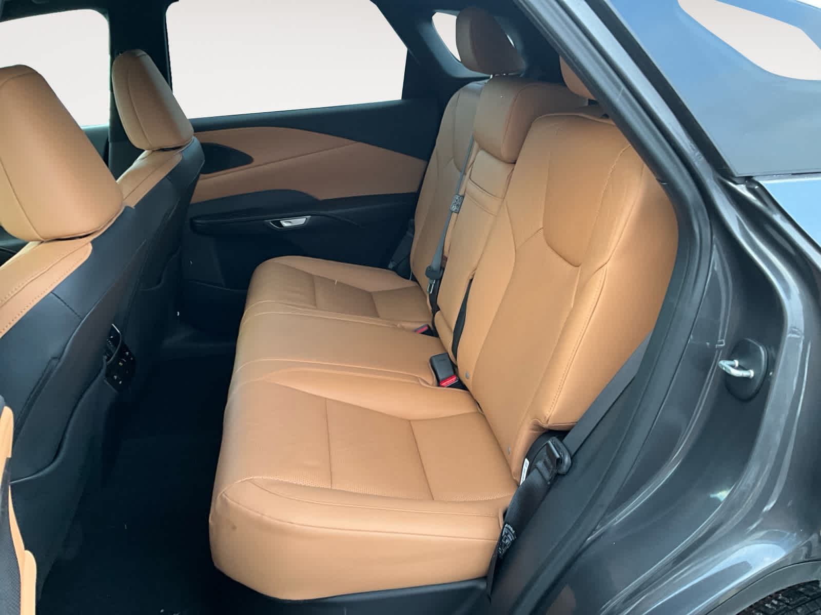 2024 Lexus RX Premium Plus