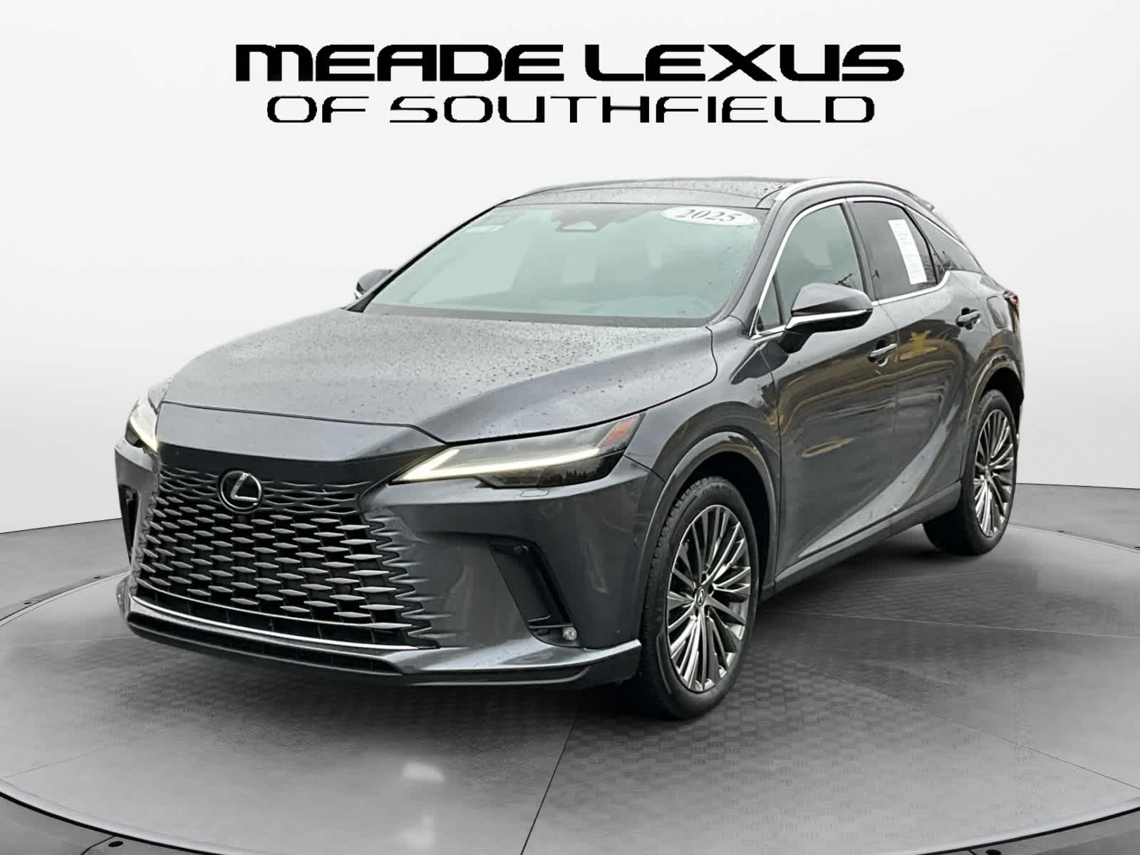 2025 Lexus RX Luxury