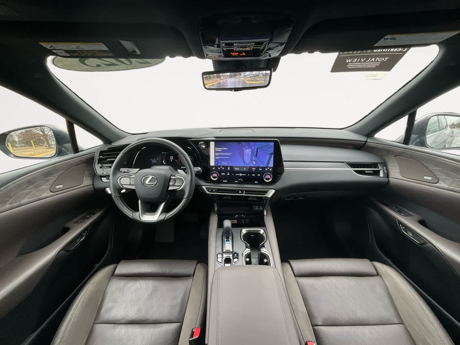 2025 Lexus RX Luxury