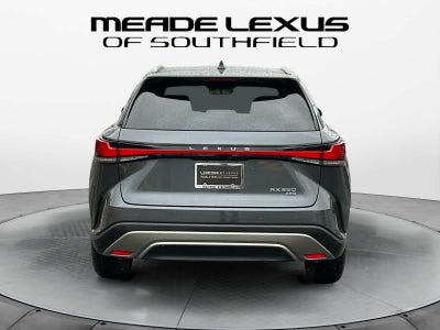 2025 Lexus RX Luxury