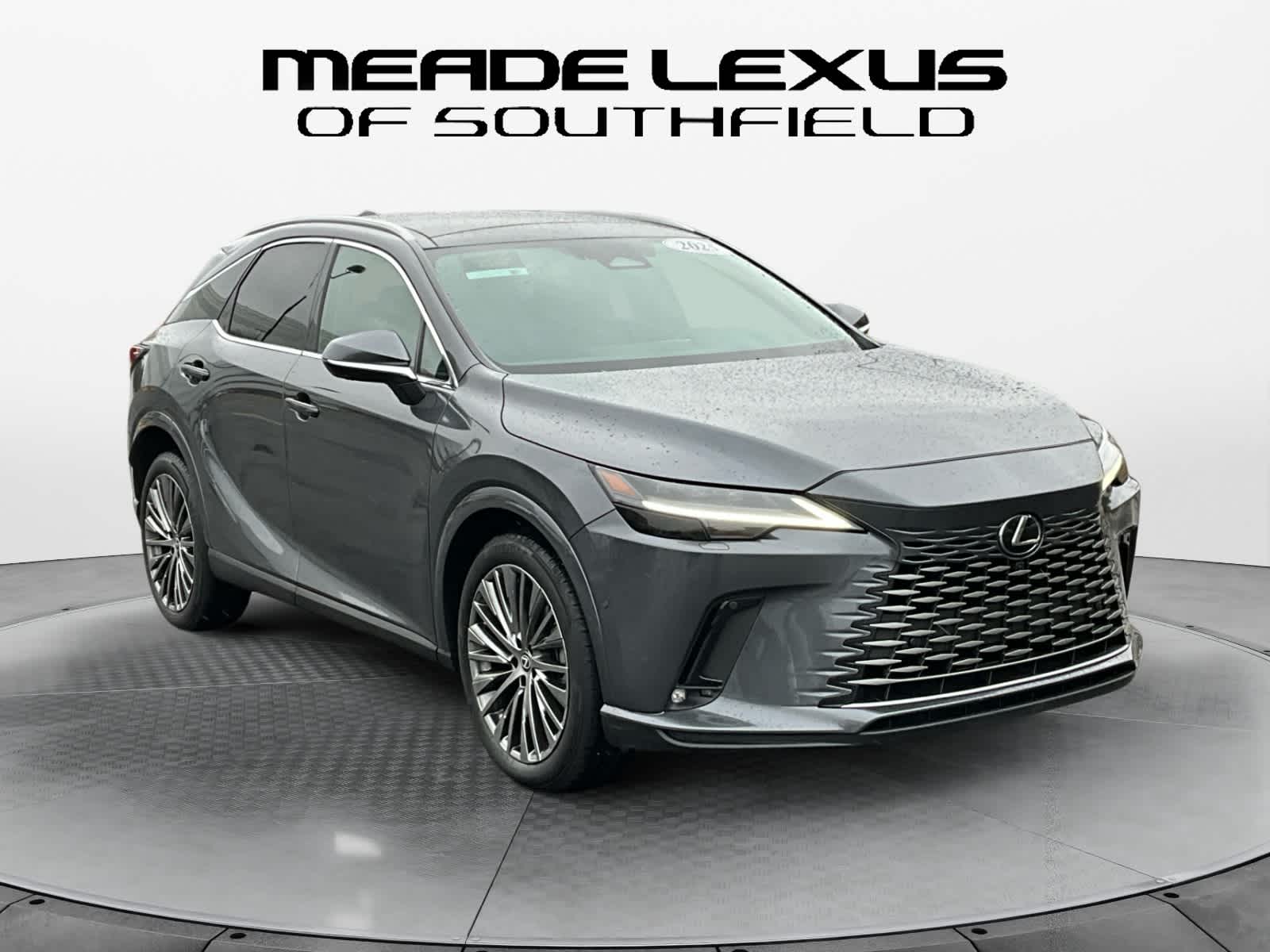 2025 Lexus RX Luxury