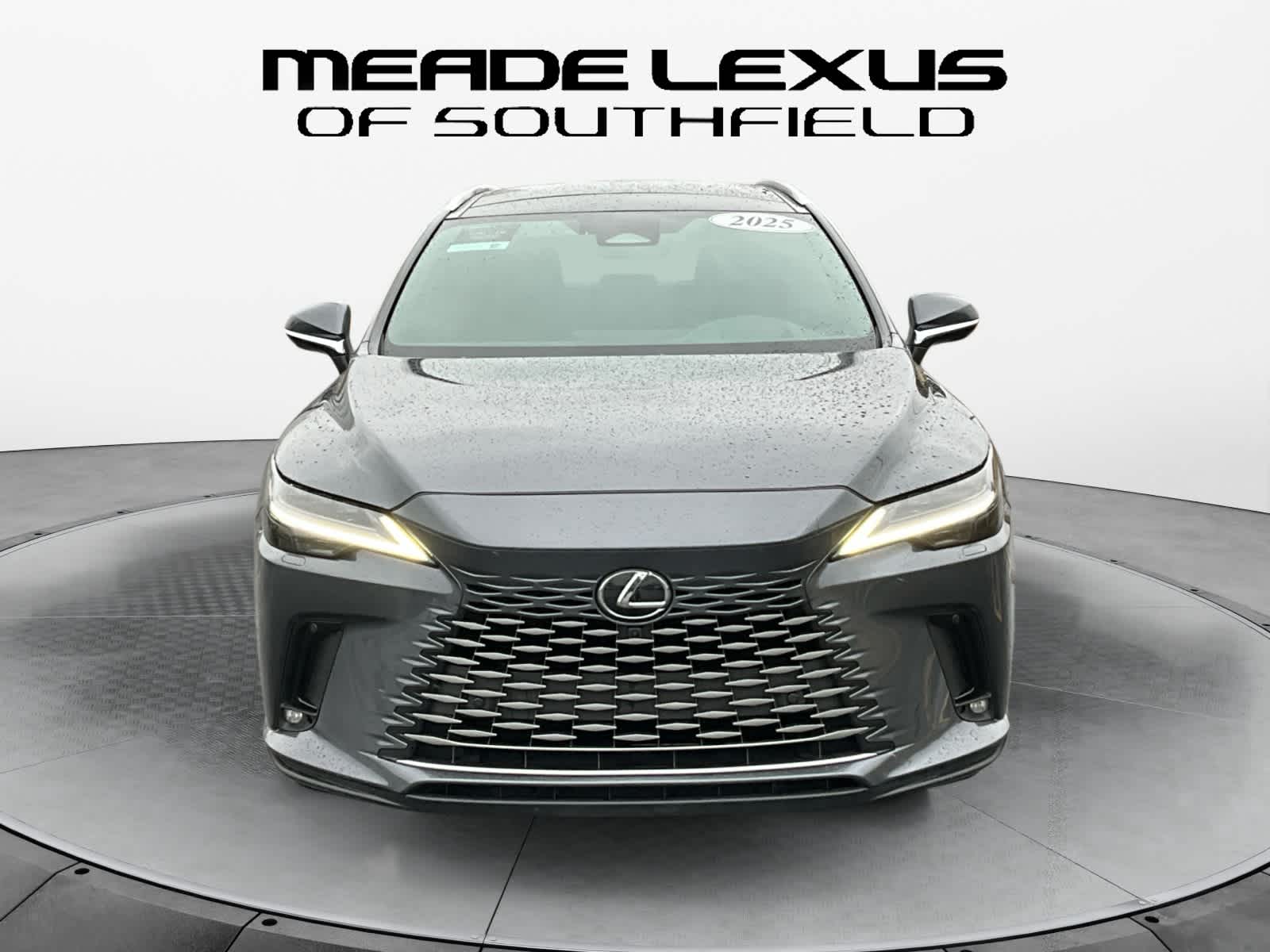 2025 Lexus RX Luxury