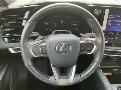 2025 Lexus RX Luxury
