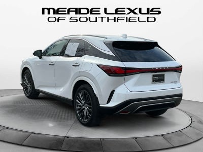 2025 Lexus RX Luxury