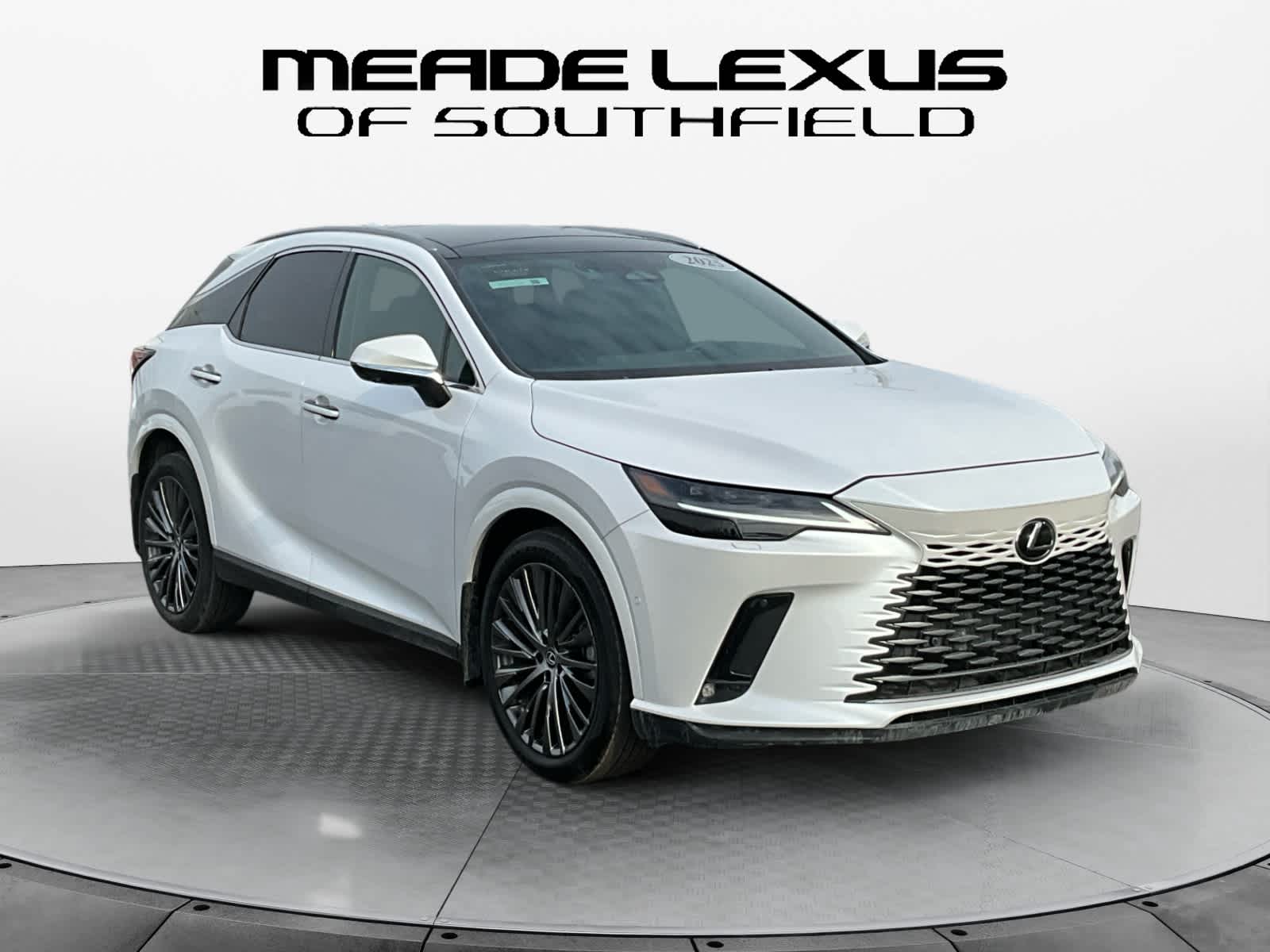 2025 Lexus RX Luxury