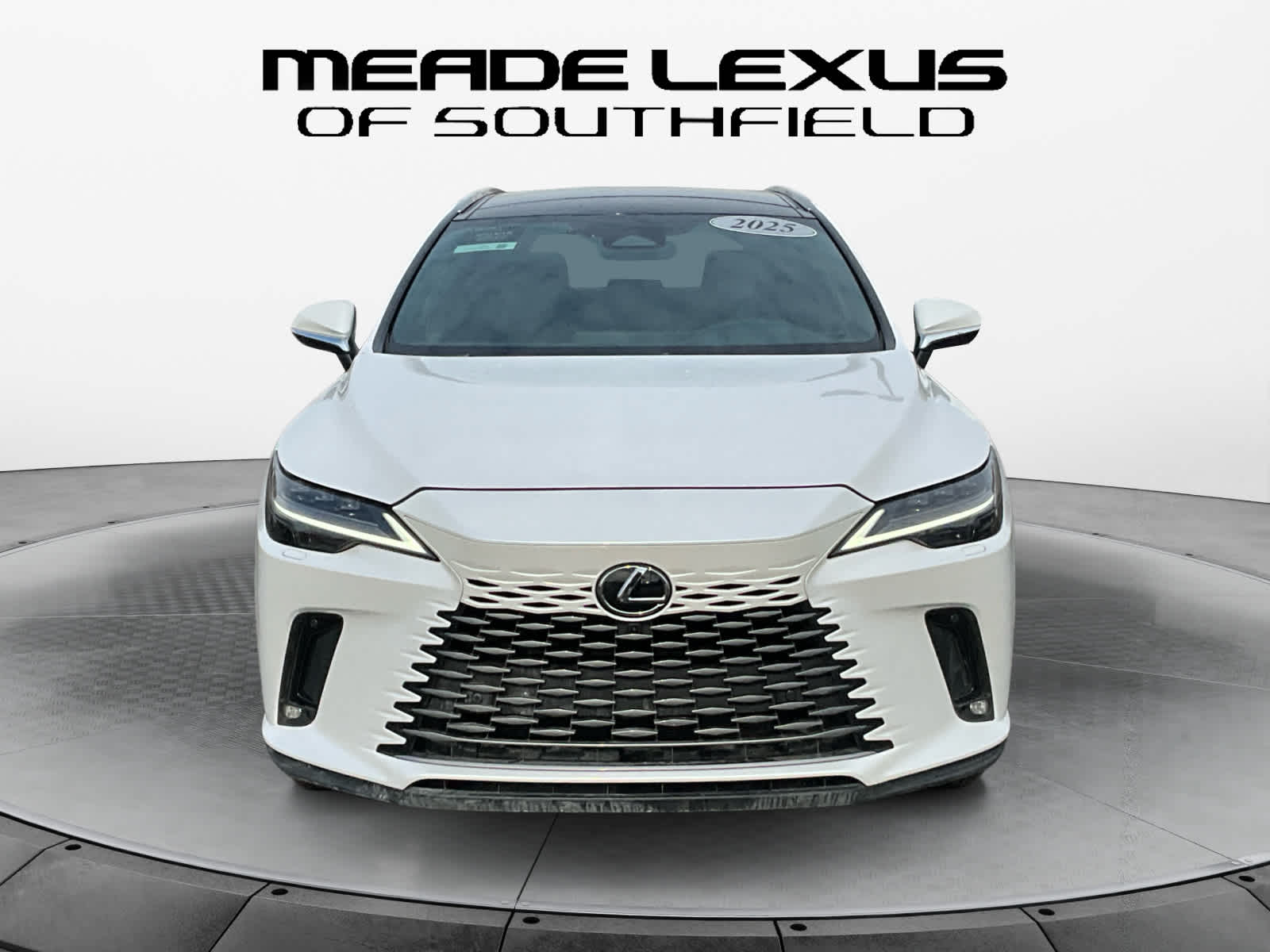 2025 Lexus RX Luxury