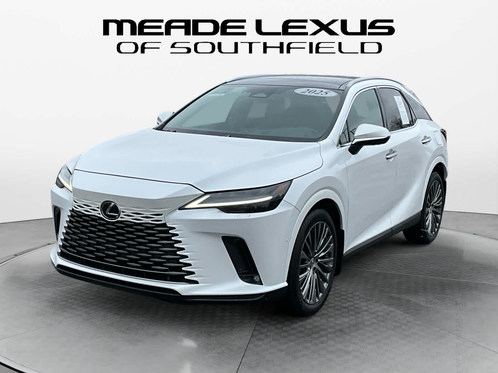 2025 Lexus RX Luxury