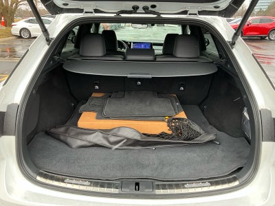 2025 Lexus RX Luxury