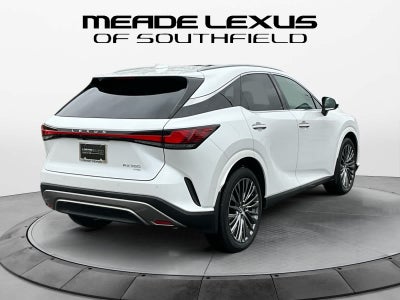 2025 Lexus RX Luxury
