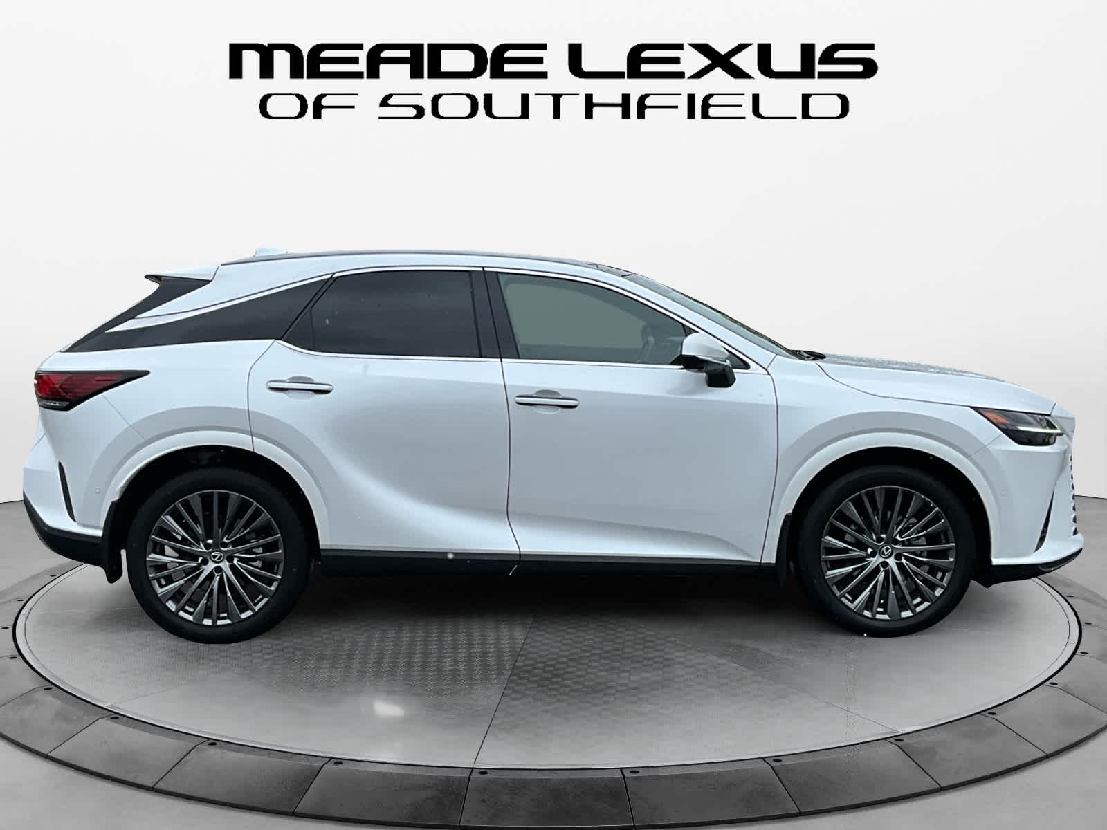 2025 Lexus RX Luxury