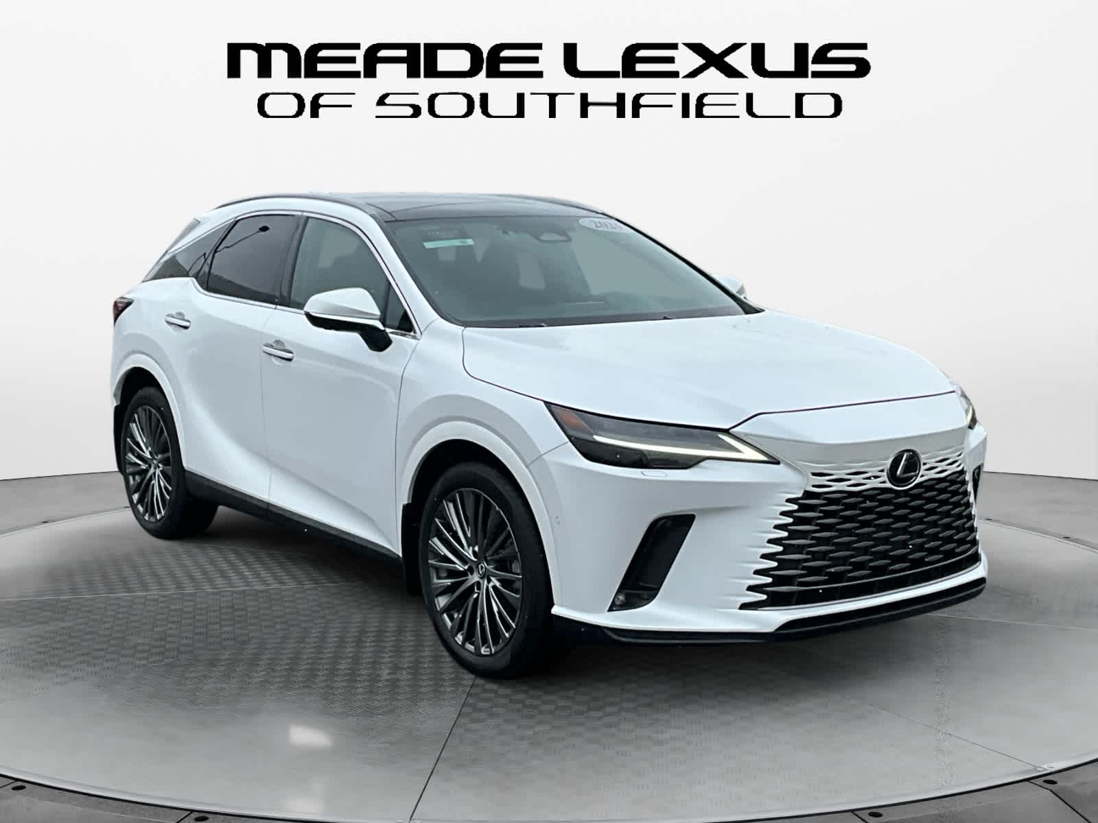 2025 Lexus RX Luxury