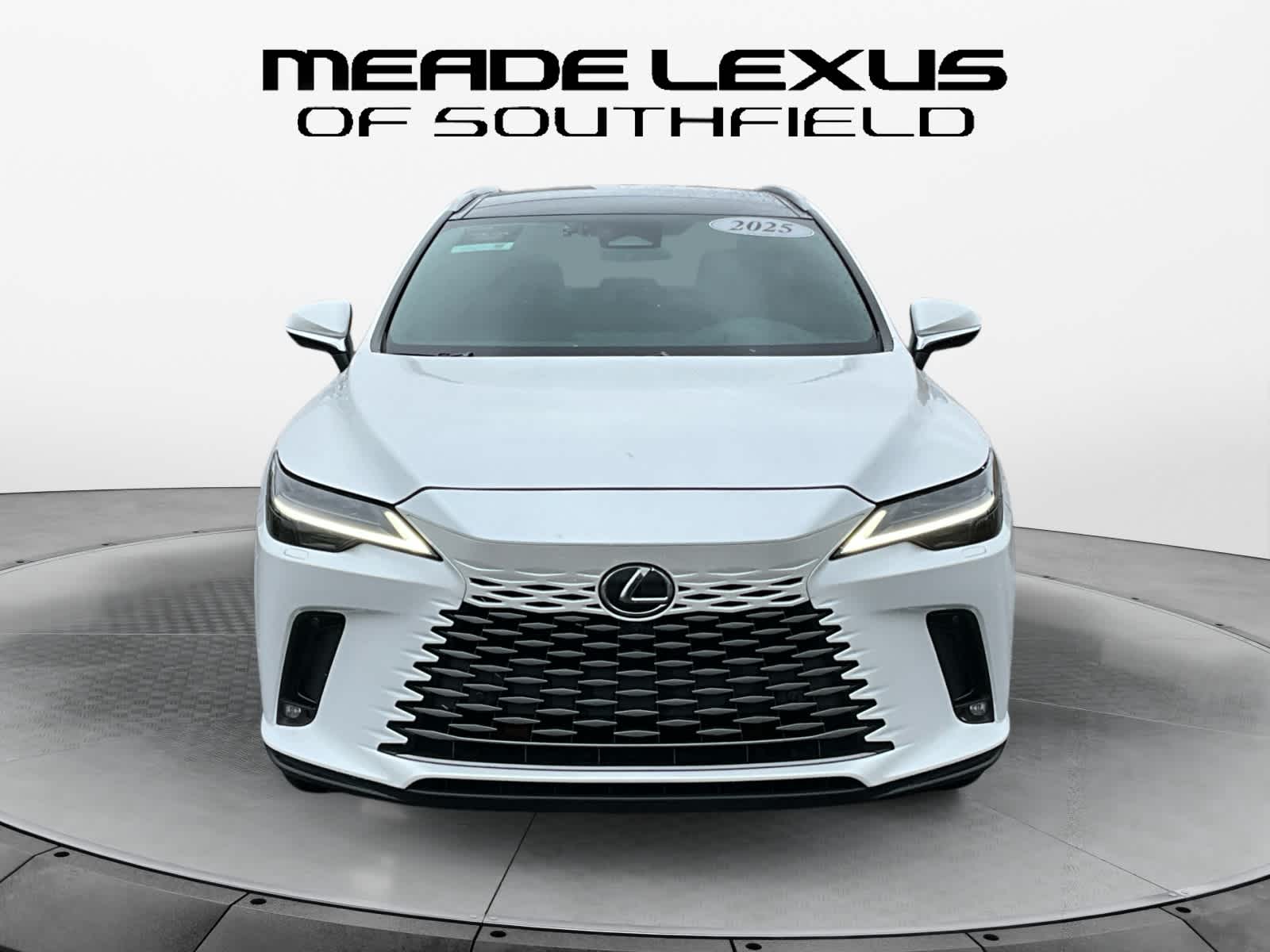 2025 Lexus RX Luxury