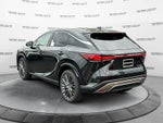 2024 Lexus RX 350h Luxury