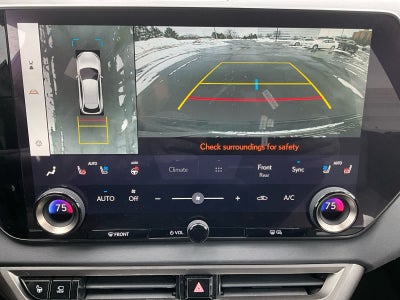 2024 Lexus RX Luxury