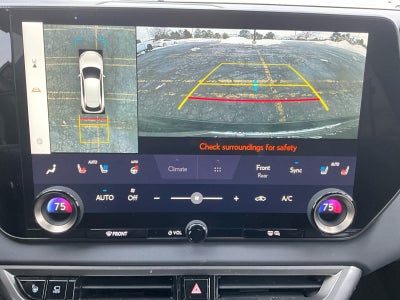 2024 Lexus RX Luxury