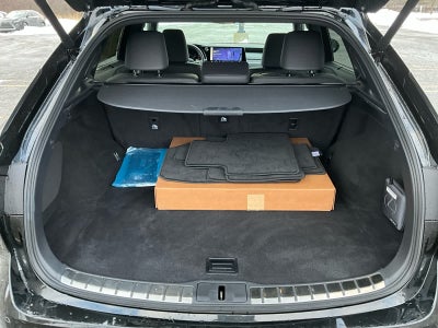 2024 Lexus RX Luxury