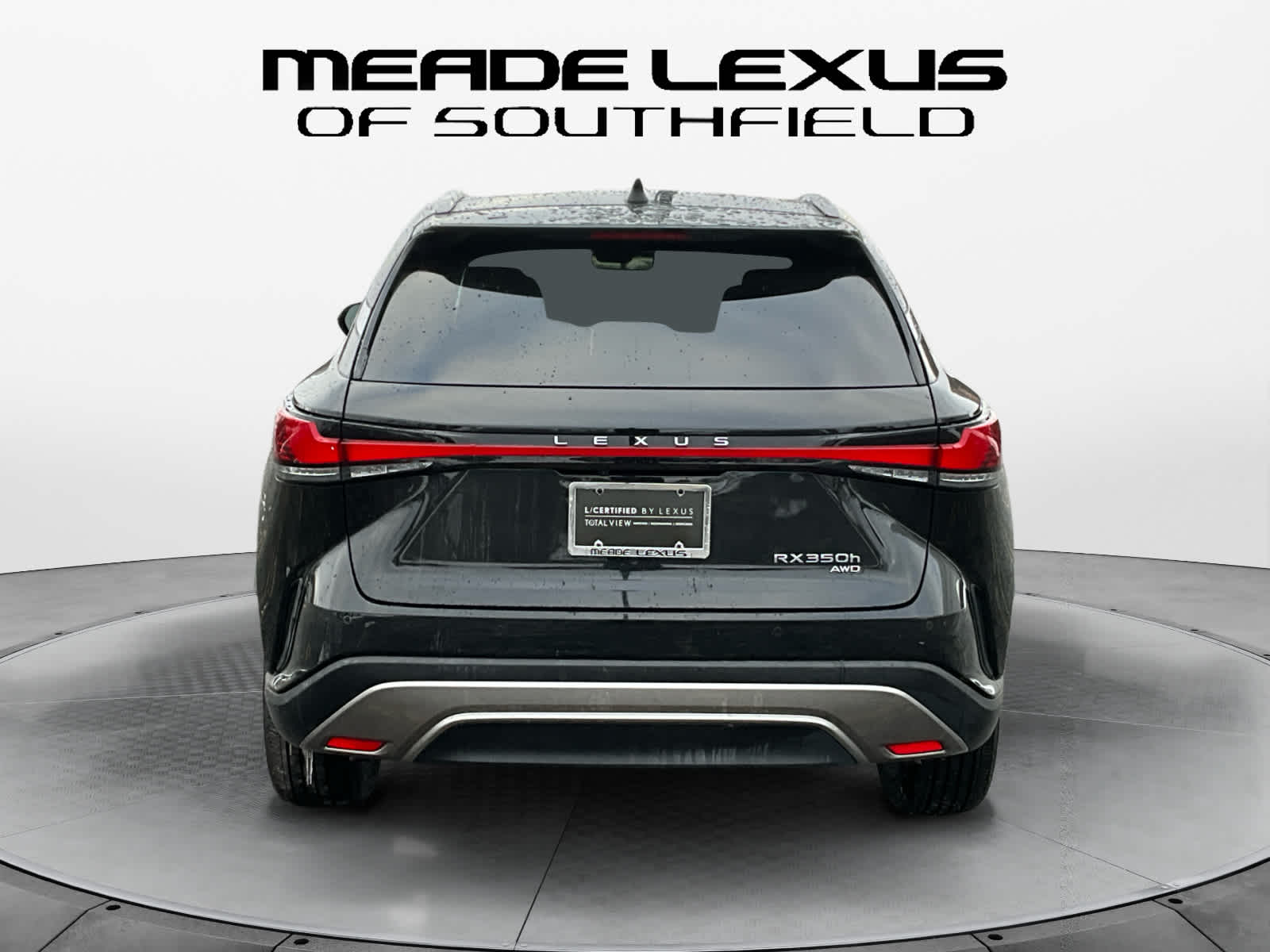 2024 Lexus RX Luxury