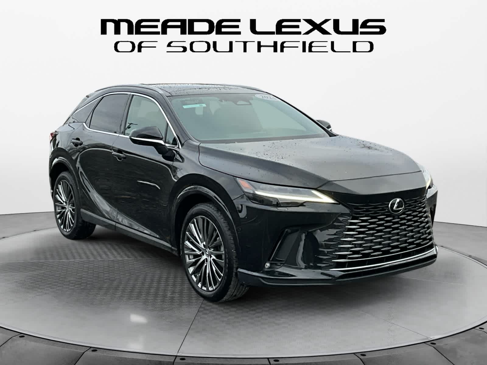 2024 Lexus RX Luxury