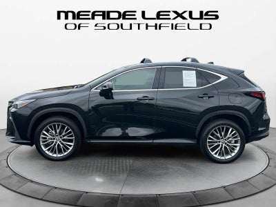 2025 Lexus NX 350 Premium