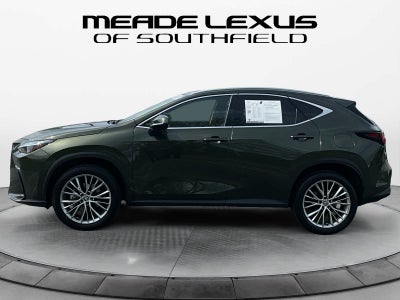 2025 Lexus NX 350 Premium