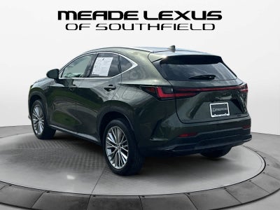 2025 Lexus NX 350 Premium
