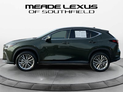 2025 Lexus NX Premium