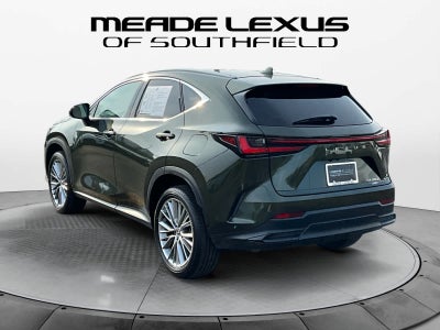 2025 Lexus NX Premium