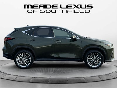 2025 Lexus NX Premium