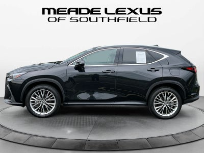 2025 Lexus NX 350 Premium