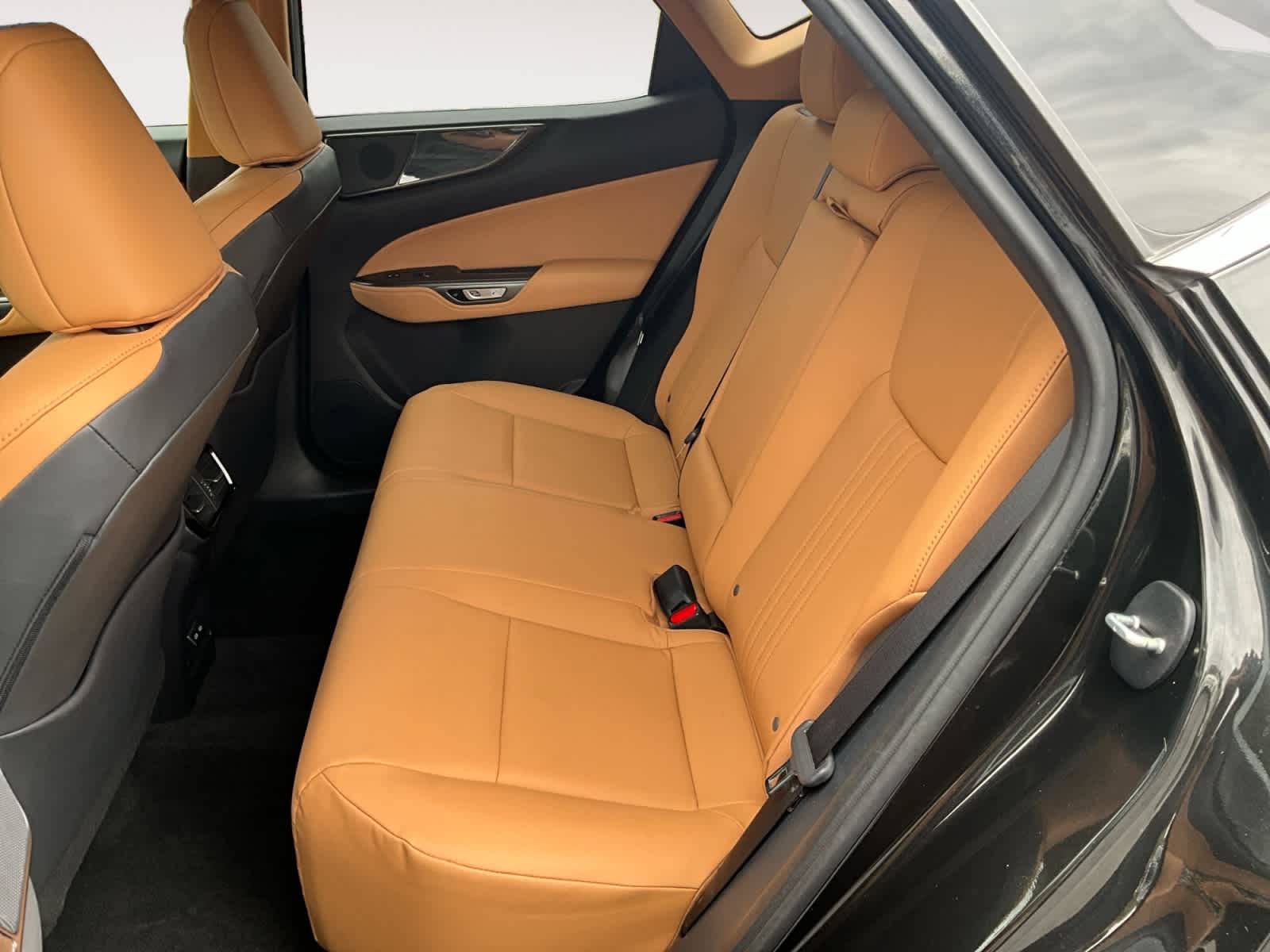 2023 Lexus NX 350 Premium