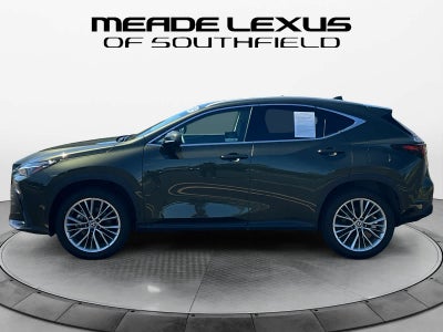 2025 Lexus NX 350h Premium