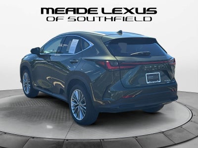2025 Lexus NX 350h Premium