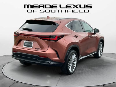 2025 Lexus NX 350h Premium