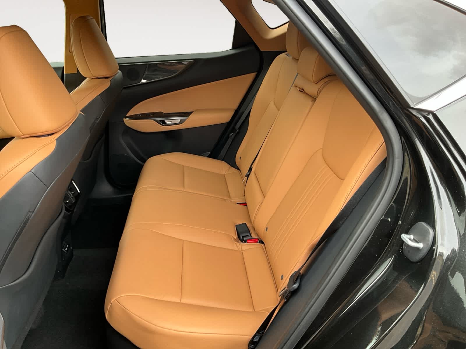 2025 Lexus NX 350h Premium