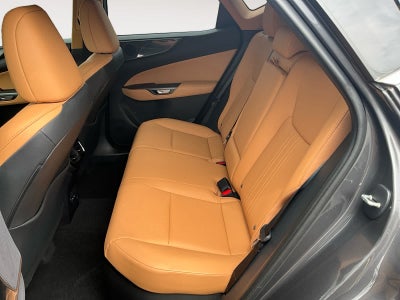 2025 Lexus NX 350h Premium