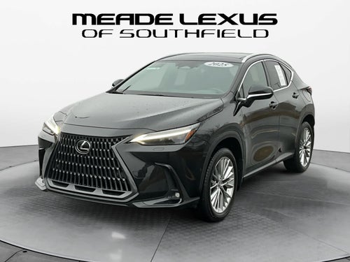 2025 Lexus NX Luxury