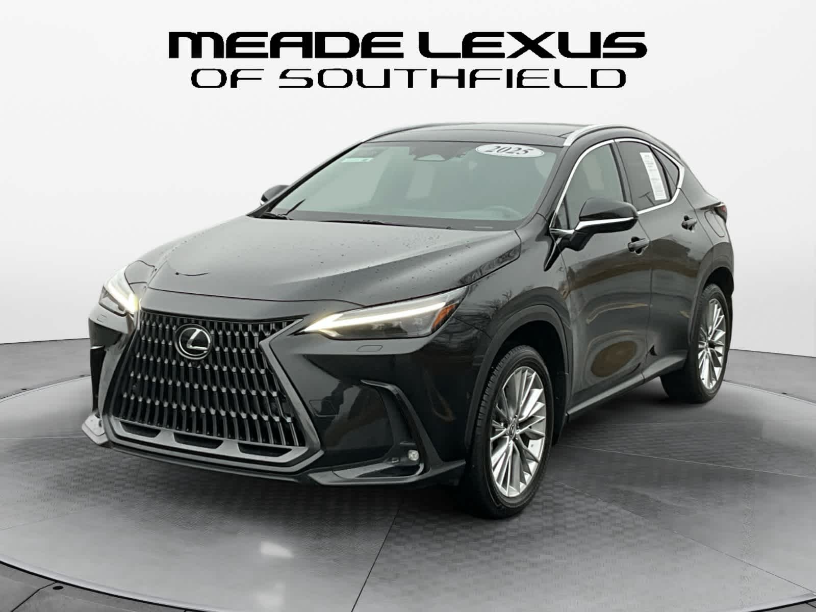 2025 Lexus NX Luxury
