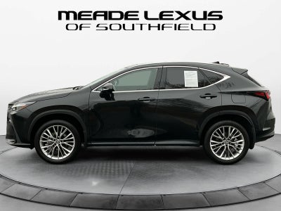 2025 Lexus NX Luxury