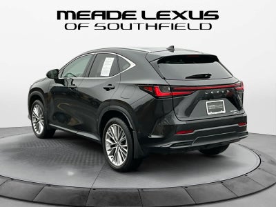2025 Lexus NX Luxury